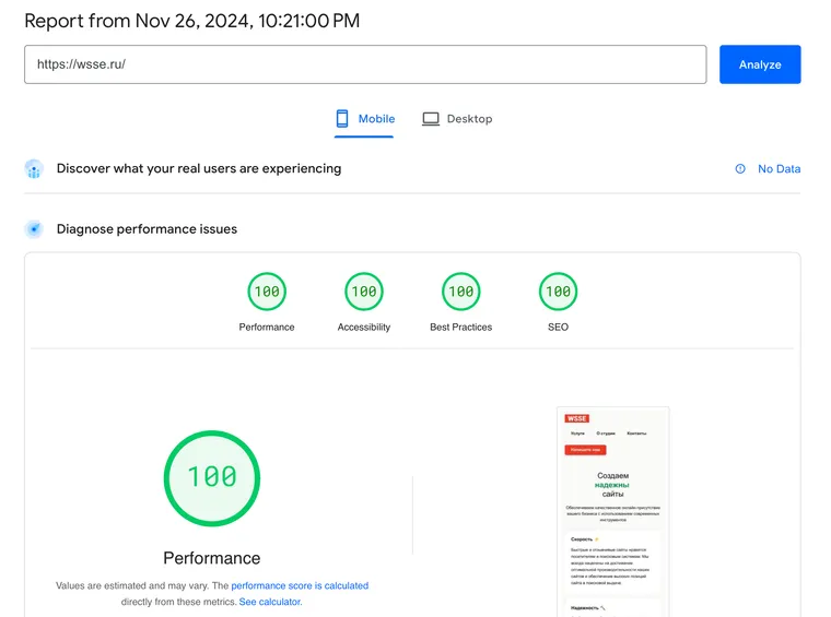 Скриншот из Google PageSpeed